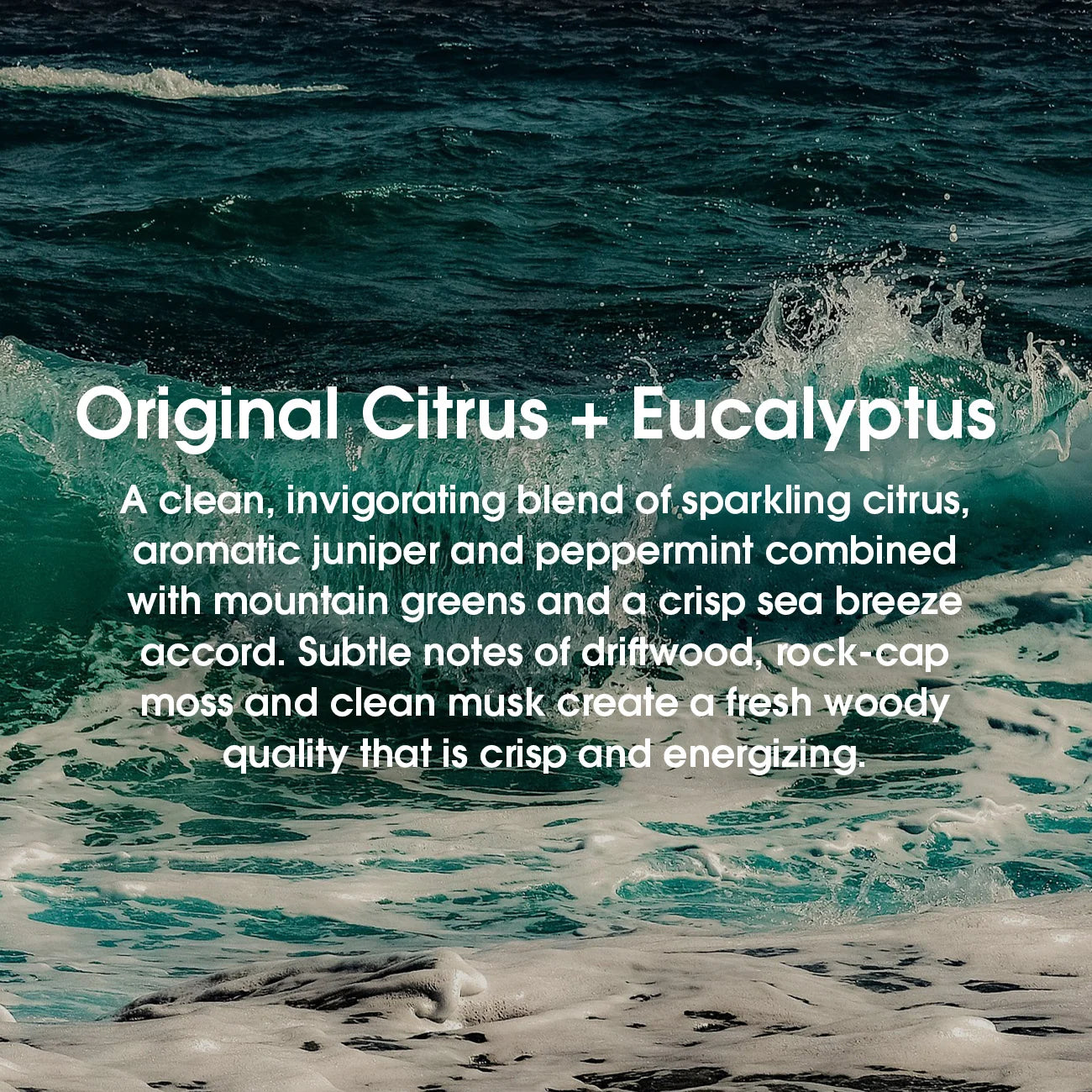 Aquatic Cologne Bundle